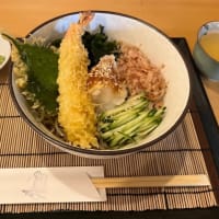 源兵衛川お散歩♪