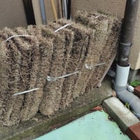 芝を張るんですって