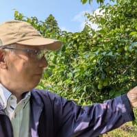 町の房総族始動☝️