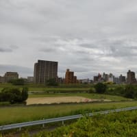 ５月３１日千代田橋緑地テニスコートはやってしまった