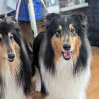 18ジャスミンキッズ　お誕生会　前編