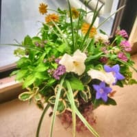 9月度ガーデニング教室は秋の寄せ植え！