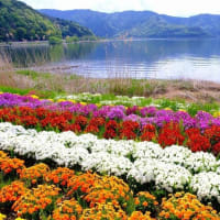 大石公園（5/11）