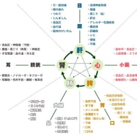 西洋医学の常識を疑え