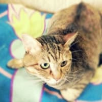 プディングカメラで撮ってみました。