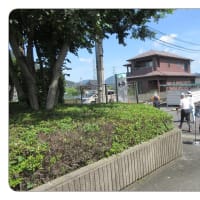 ２　安佐北ノルディック・ウォーク392　　護岸道路へと