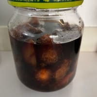 梅の再生とアメシロ発生とワンニャン日和