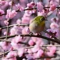 天神さん