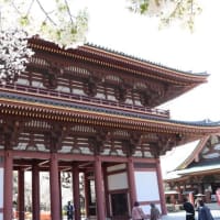 閑話休題：池上の桜と洗足池