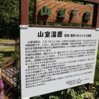 羽を広げて・・・