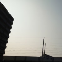 今日の博多３４６　【さて７月】