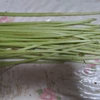 畑へ：’25-4-29