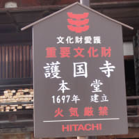 金剛力士像が迎えてくれる！護国寺！不老門を潜ると大仏も六地蔵もいるよ！