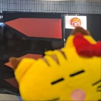 サイコーだった❣️