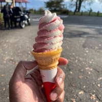 Ice Cream Season