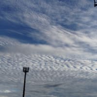 【　噂の2025年7月5日都市伝説　】 