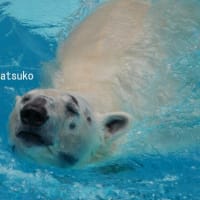 鹿児島でのライト君（2023年＆2024年）