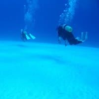 やっぱり沖縄です。