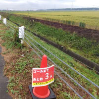 田園風景とスウェーデンヒルズ、ロイズタウンウォーク