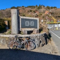 伊豆いち＆湾いち