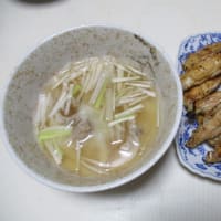 質素に少量-今日も元気----イタリヤ産チーズピザ、雲吞（ワンタン）、鶏手羽焼き、冷やし中華、麻婆豆腐、梅粥、参鶏湯（サムゲタン）