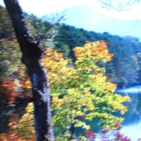山の紅葉
