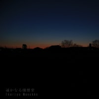 夕暮れ時はさみしそう
