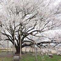 天平の丘公園