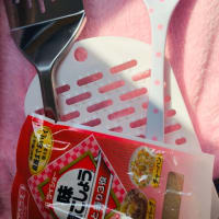 ダイソー購入品…あたしって必需品買うのよ最近…