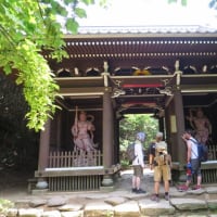 2025年6月　6回目の宮島弥山トレッキング(博打尾・大元公園コース)は真夏でした。