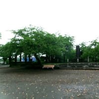 2025　初夏　藤沢のお寺9+α