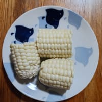 白いトウモロコシ