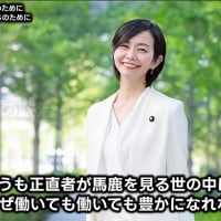 参政党の梅村みずほさん