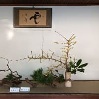 ケンカしたの