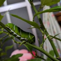 ハッキリ分かりました😌