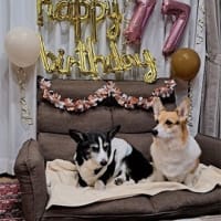 アリス１８回目の誕生日
