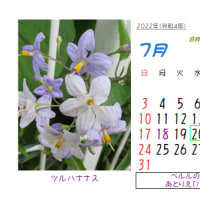 ◎2022年7月の花のカレンダー