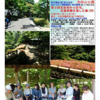 施設案内東京-527　池田山公園　