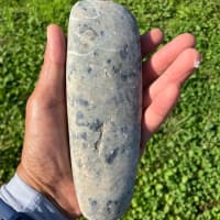 畑で拾った物