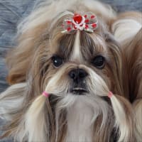 トリミングでさっぱり