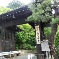 京都　青モミジ100シリーズの東山三十六峰の泉涌寺 