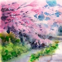 日曜画材研究 透明水彩 「濃淡でまとめる世界観と統一感」－桜並木を 