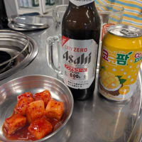福井✕越前