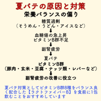 夏バテ　原因と対策
