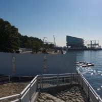 １月のお台場：潮風公園・南側エリアと水と緑のプロムナード散策道　ＰＡＲＴ２