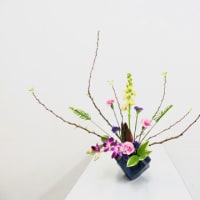 オウゴンコデマリの小枝を面白いデザインに・・ストックを合わせて・自由花
