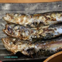 【京都発幕間旅情】榛名さんの総監部グルメ日誌-名古屋,名駅西口ｰ鰯は頭から齧ってみた，銀シャリとよく合う焼き魚