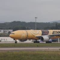 ＡＮＡ特別塗装機  “スター・ウォーズ・ジェット”．．．