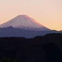 「陶房ぬくも」陶芸講座　糸底模様切り　製作動画