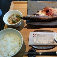 箱根の旅　～３～